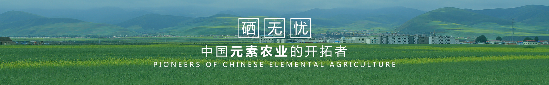 安徽硒無憂現(xiàn)代農(nóng)業(yè)科技有限公司