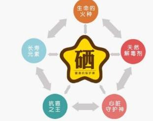安徽省硒元素科學(xué)研究會將主辦“中國保健營養(yǎng)即硒元素產(chǎn)品博覽會”