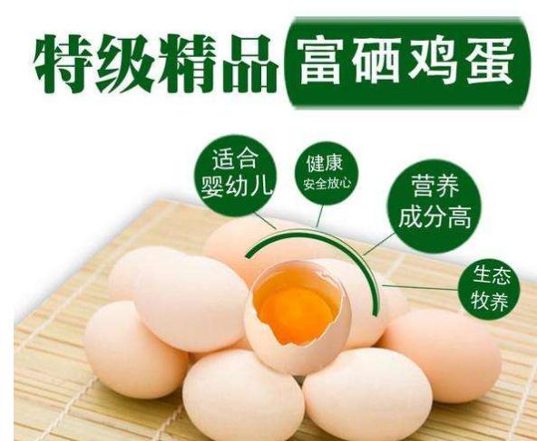 富硒雞蛋,富硒飼料