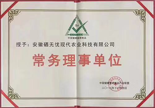 硒肥技術(shù)工藝以及專利技術(shù)廠家