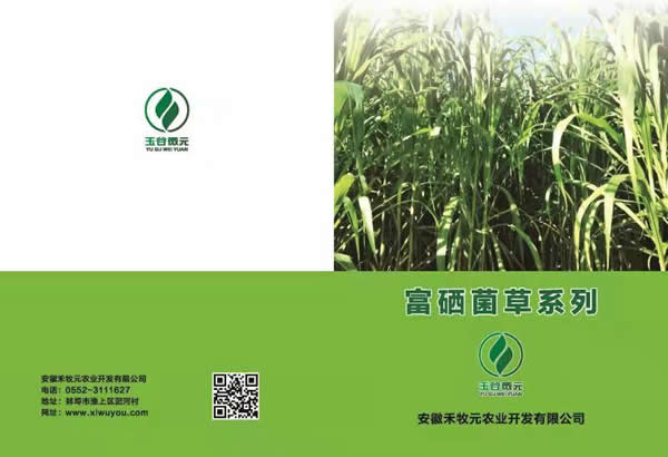 富硒種植技術(shù),禾木元富硒菌種苗富硒種苗